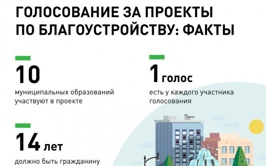Голосование за проекты по благоустройству: факты